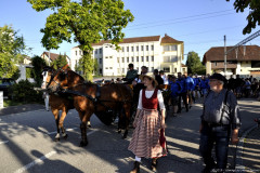 DSC0178