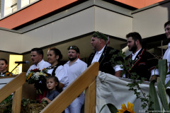 DSC0318