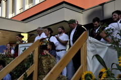 DSC0356