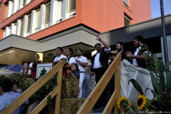 DSC0382